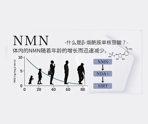 NMN（烟酰胺单核苷酸）